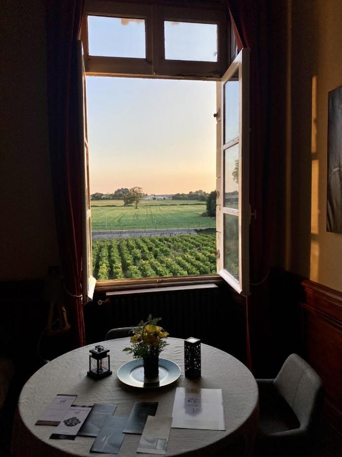 Hotel Particulier Chateau Des Marais Proximite Et Vue Sur Le Lac De Grand Lieu Saint-Philbert-de-Grand-Lieu 외부 사진